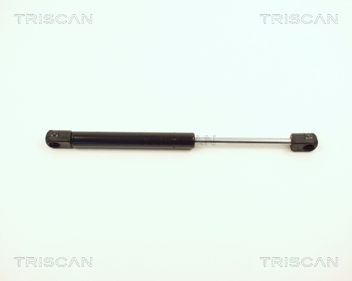 Amortizor portbagaj TRISCAN 871012206