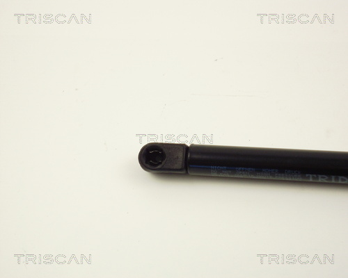 Amortizor portbagaj TRISCAN 871012206