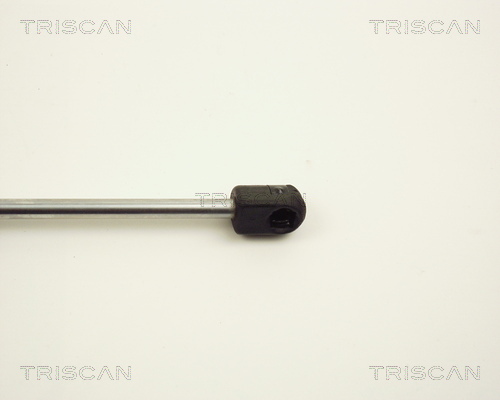 Amortizor portbagaj TRISCAN 871012206