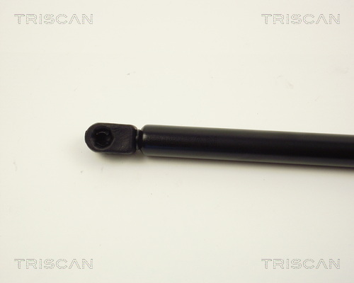 Amortizor portbagaj TRISCAN 871012210