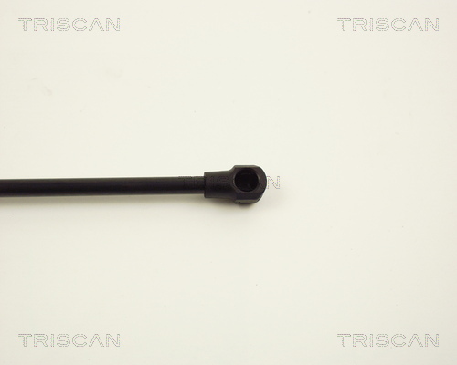 Amortizor portbagaj TRISCAN 871012210