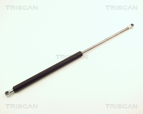 Amortizor portbagaj TRISCAN 871013241