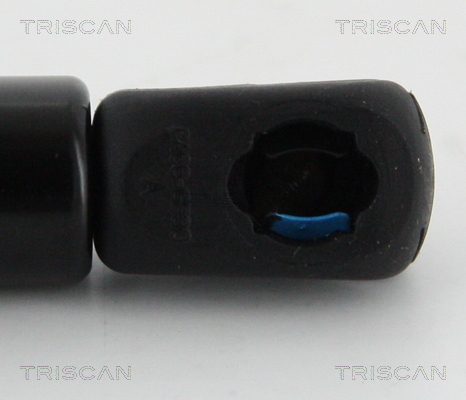 Amortizor portbagaj TRISCAN 871013288