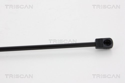 Amortizor portbagaj TRISCAN 871014246