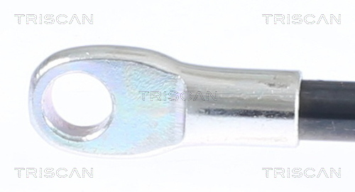 Amortizor portbagaj TRISCAN 871015216