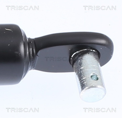 Amortizor portbagaj TRISCAN 871015216