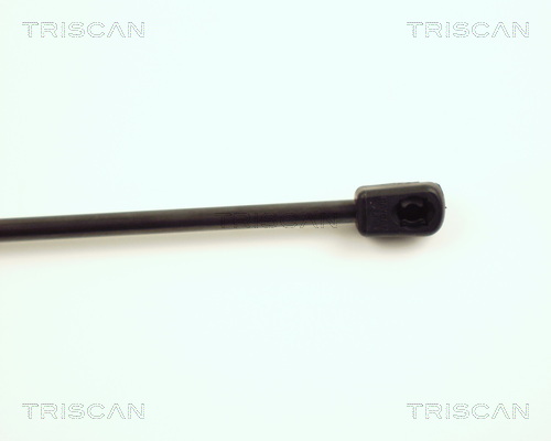 Amortizor portbagaj TRISCAN 871015225