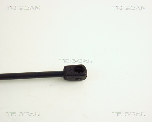Amortizor portbagaj TRISCAN 871015226
