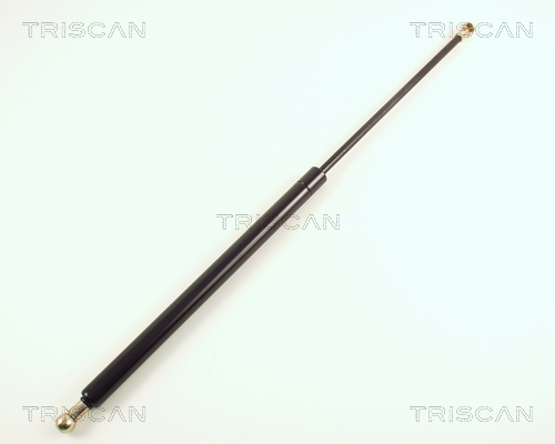 Amortizor portbagaj TRISCAN 871016206
