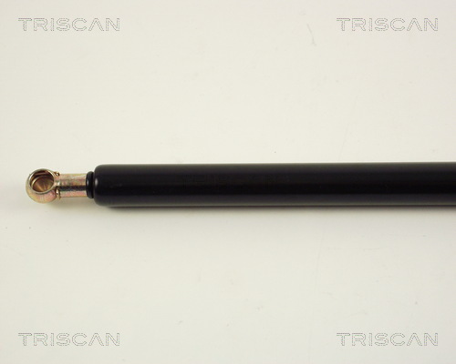 Amortizor portbagaj TRISCAN 871016206