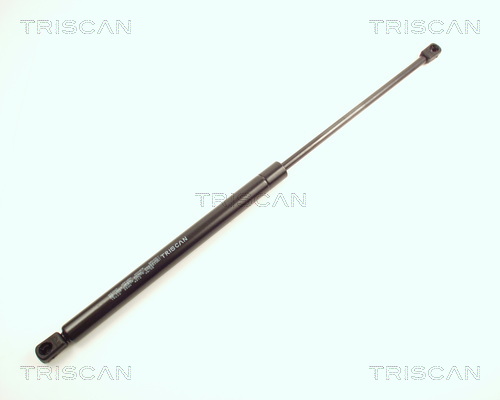 Amortizor portbagaj TRISCAN 871016222