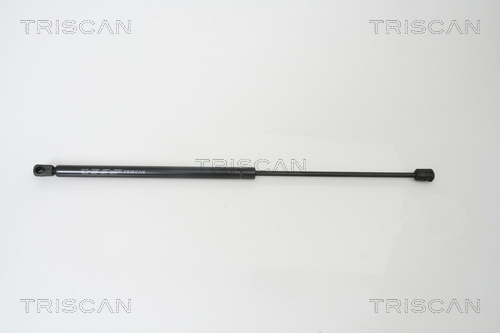 Amortizor portbagaj TRISCAN 871016238