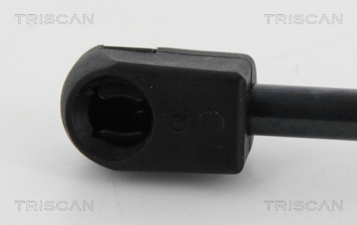 Amortizor portbagaj TRISCAN 871016261