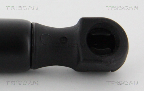 Amortizor portbagaj TRISCAN 871016261