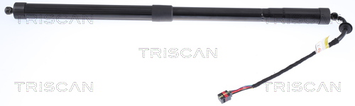 Amortizor portbagaj TRISCAN 871017305