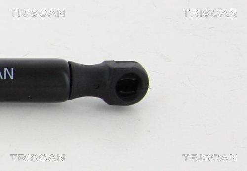 Amortizor capota TRISCAN 871029142