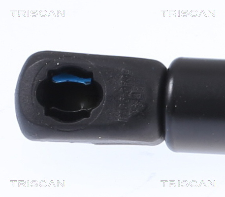 Amortizor portbagaj TRISCAN 871018244
