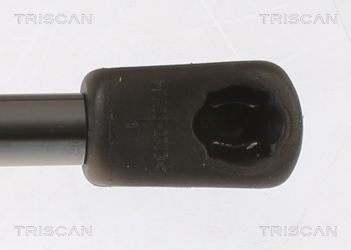 Amortizor portbagaj TRISCAN 871018245