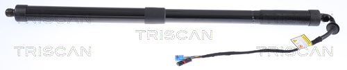 Amortizor portbagaj TRISCAN 871020302