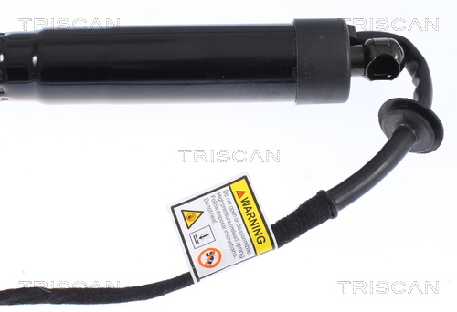 Amortizor portbagaj TRISCAN 871020302