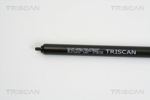 Amortizor capota TRISCAN 871023110
