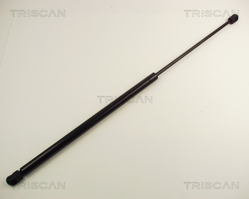 Amortizor portbagaj TRISCAN 871023208