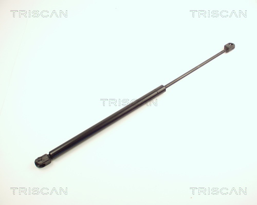 Amortizor portbagaj TRISCAN 871024202