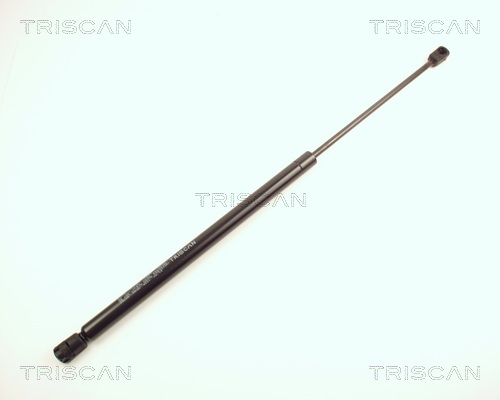 Amortizor portbagaj TRISCAN 871024205