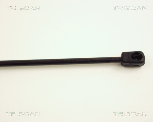 Amortizor portbagaj TRISCAN 871024205