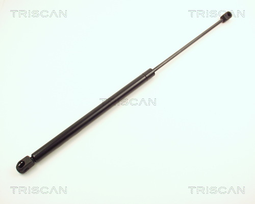 Amortizor portbagaj TRISCAN 87102426