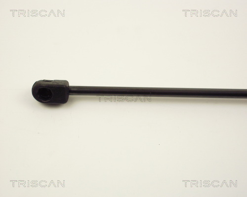 Amortizor portbagaj TRISCAN 87102426