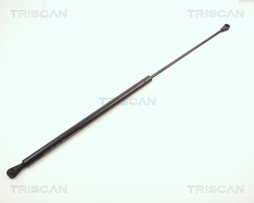 Amortizor portbagaj TRISCAN 87102504