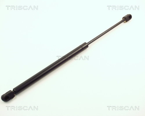 Amortizor portbagaj TRISCAN 87102507