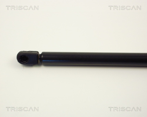 Amortizor portbagaj TRISCAN 87102507