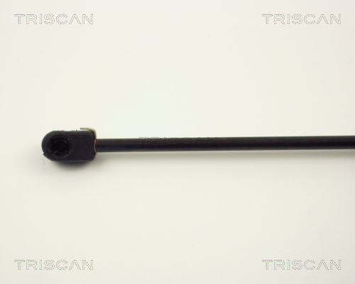 Amortizor portbagaj TRISCAN 87102507