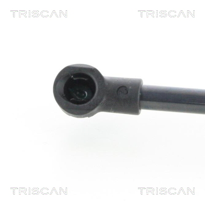 Amortizor capota TRISCAN 871025107
