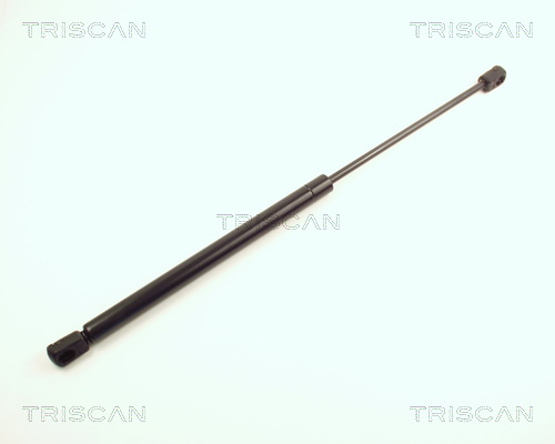 Amortizor portbagaj TRISCAN 871025201