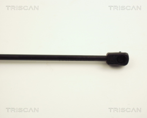 Amortizor portbagaj TRISCAN 871025201