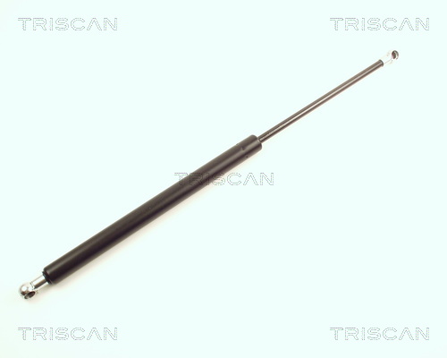 Amortizor portbagaj TRISCAN 8710 25209