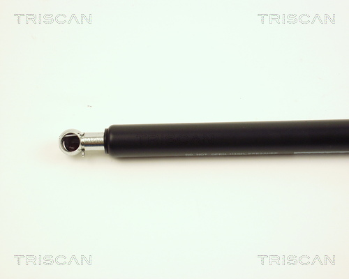 Amortizor portbagaj TRISCAN 871025209