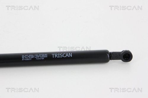 Amortizor portbagaj TRISCAN 871028237