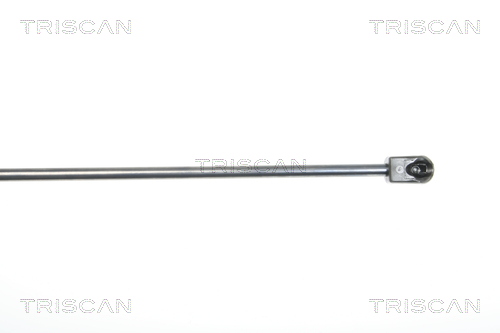 Amortizor capota TRISCAN 871029130