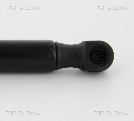 Amortizor portbagaj TRISCAN 8710292002