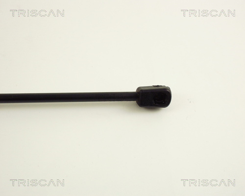 Amortizor portbagaj TRISCAN 871029203