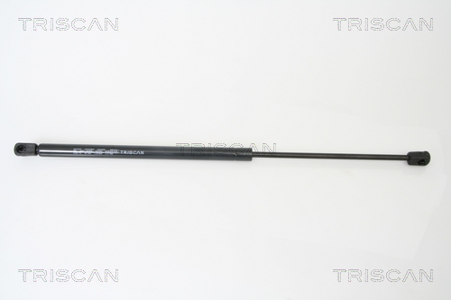 Amortizor portbagaj TRISCAN 871029270