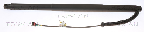 Amortizor portbagaj TRISCAN 871029304
