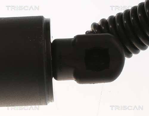 Amortizor portbagaj TRISCAN 871029306