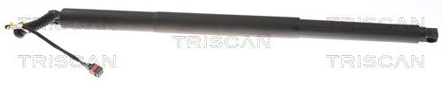Amortizor portbagaj TRISCAN 871029308