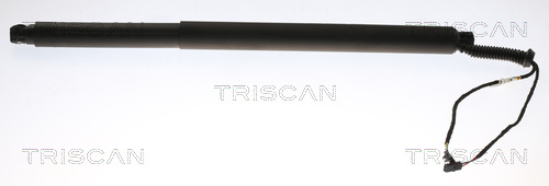 Amortizor portbagaj TRISCAN 871029312