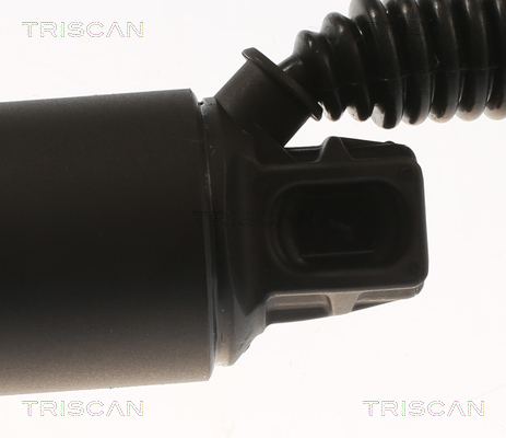 Amortizor portbagaj TRISCAN 871029312